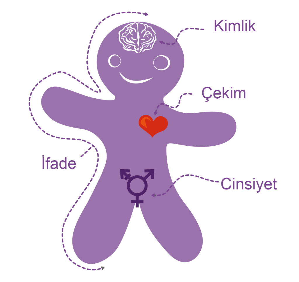 cinsi birey